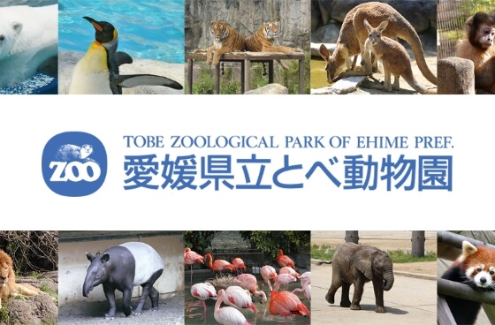 写真：とべ動物園